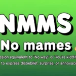 what nmms mean in text