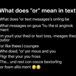 what does or mean in text