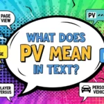 what does pv mean in text