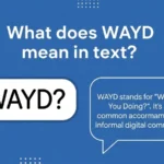 what does wayd mean in text