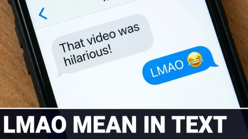 lamo mean in text