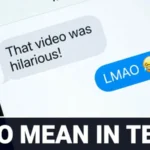 lamo mean in text