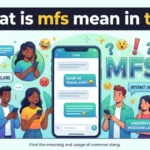 what is mfs mean in text