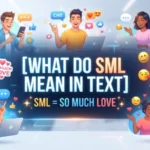 what do sml mean in text