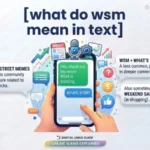 what do wsm mean in text