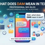 what does dam mean in text
