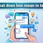 what does lmn mean in text