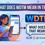what does wdtm mean in text