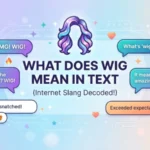 what does wig mean in text