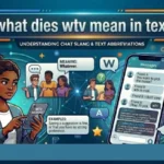 what dies wtv mean in text