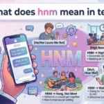what does hnm mean in text
