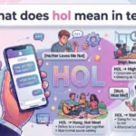 what does hol mean in text